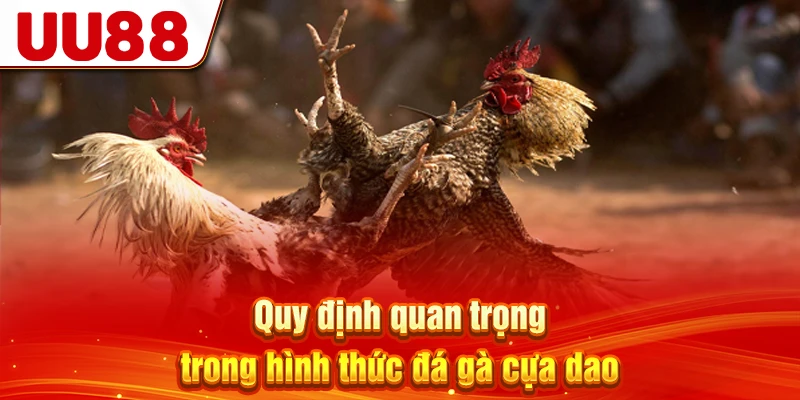 Quy định quan trọng trong hình thức đá gà cựa dao